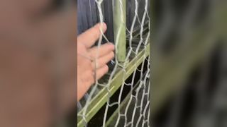Jinlida Fabrikasından Yüksek Kaliteli Gabion Hasır Makinesi, Çoklu Üretim Hatları