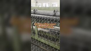 JINLIDA Gabion Makinesi: Üretiminizi Artırın ve Fabrikanızı Ölçeklendirin!